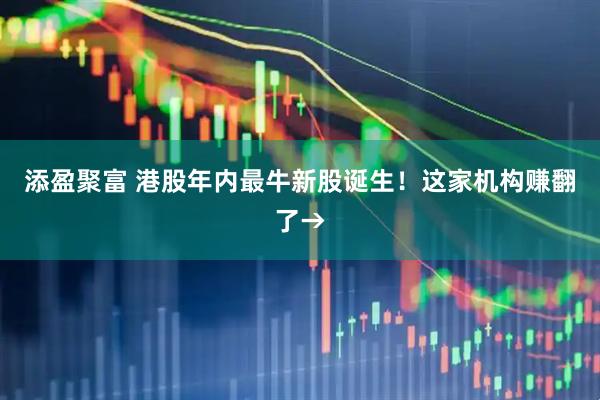 添盈聚富 港股年内最牛新股诞生！这家机构赚翻了→