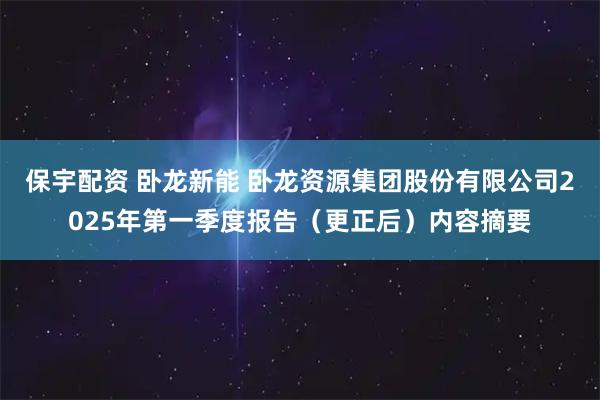 保宇配资 卧龙新能 卧龙资源集团股份有限公司2025年第一季度报告（更正后）内容摘要
